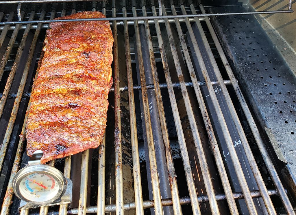 St Louis Style Ribs On A Gas Grill Life S A Tomatolife S A Tomato,Poison Sumac Rash Look Like