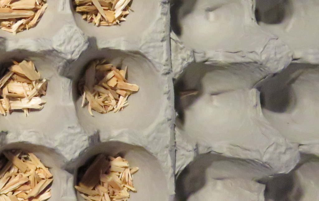 Homemade Fire Starter Cubes Archives Life s A Tomato