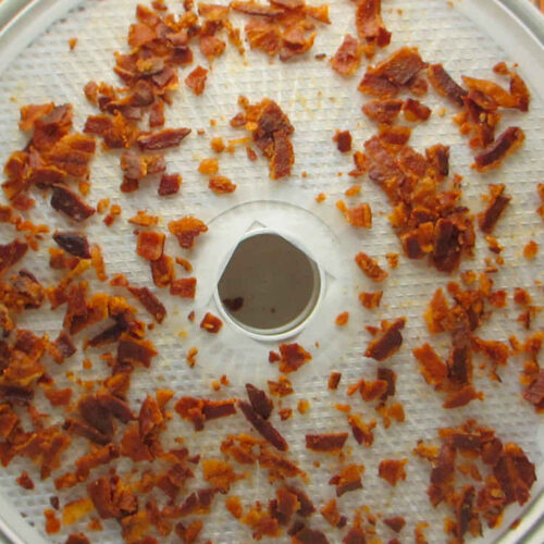 Bacon Bits on the Nesco Snackmaster Pro