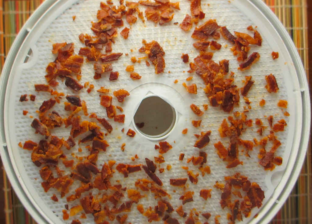 Bacon Bits on the Nesco Snackmaster Pro