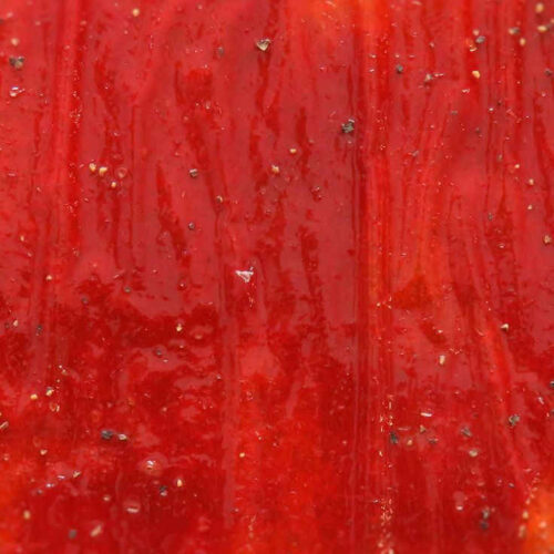 Ketchup Leather Life's A Tomato