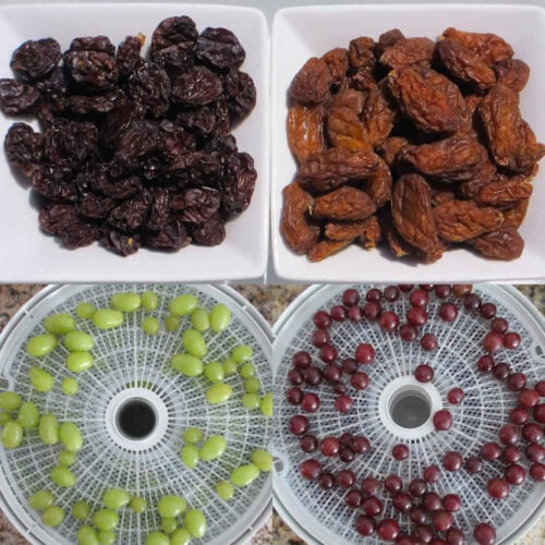 Raisins on the Nesco Snackmaster Pro
