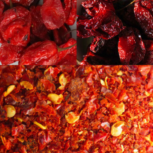 Smoked Habanero Flake on the Nesco Snackmaster Pro