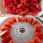 Sun-Dried Tomatoes on the Nesco Snackmaster Pro