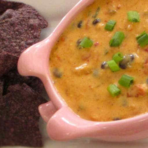 Chicken Nacho Dip