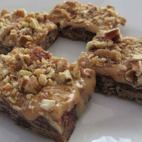 Chocolate Chocolate Chip Caramel Bars
