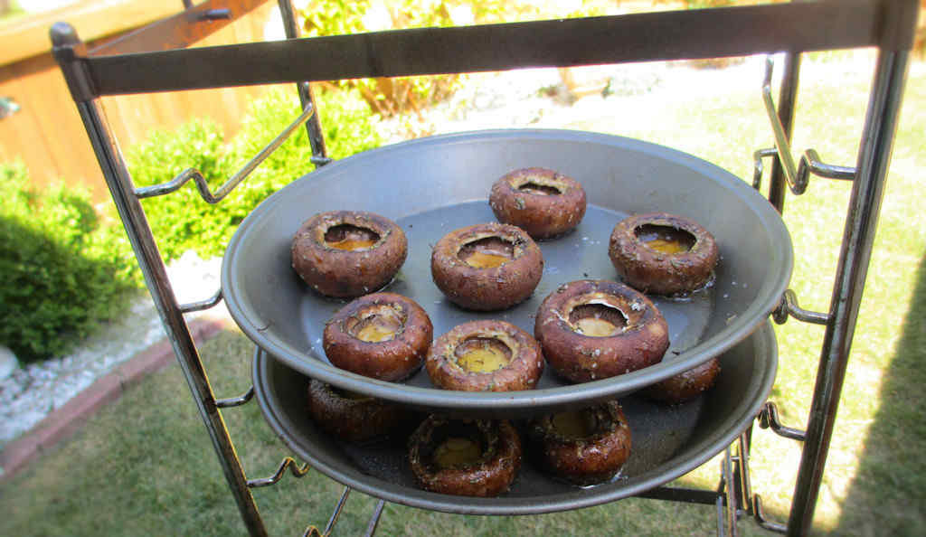 Herb Roasted Mushrooms on the Char-Broil Big Easy