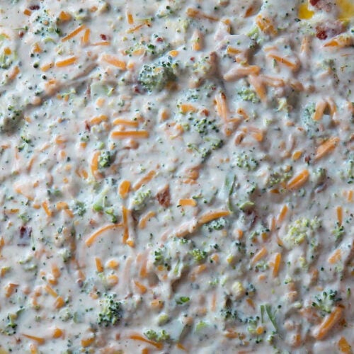 Hot Broccoli Dip