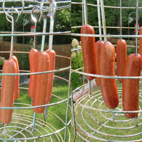 Hot Dogs on the CharBroil Big Easy Life's A Tomato