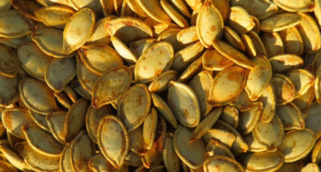 Roasted Pumpkin Seeds on the Char-Broil Big Easy