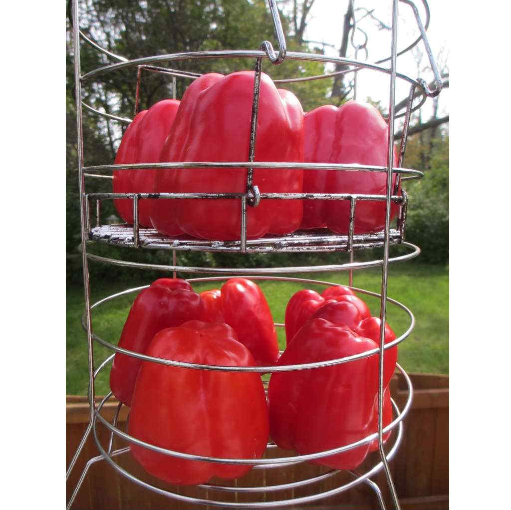 Roasted Red Peppers on the Char-Broil Big Easy