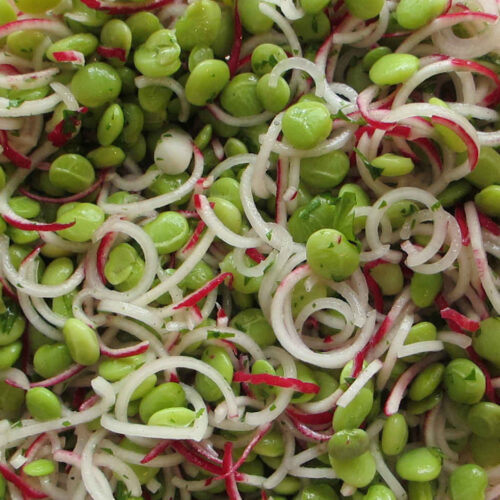 Spiralized Churchill Downs Butterbean and Radish Salad