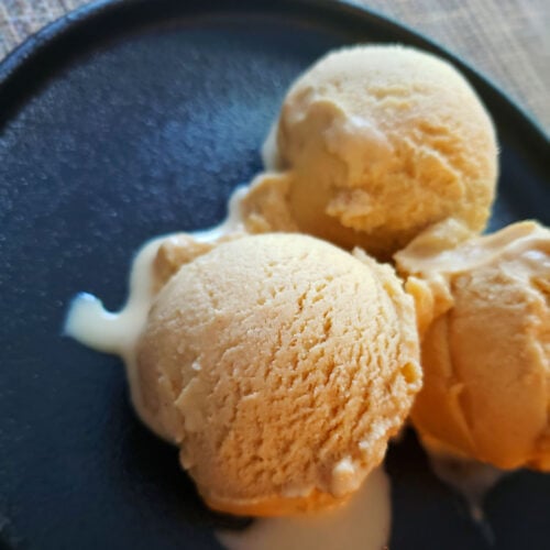 Easy Homemade Peanut Butter Ice Cream